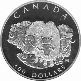 Platin Kanada 1999 Bison proof