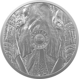 Platin Big Five Elefant 2022