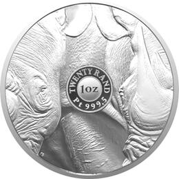 Platin Big Five Nashorn 2022