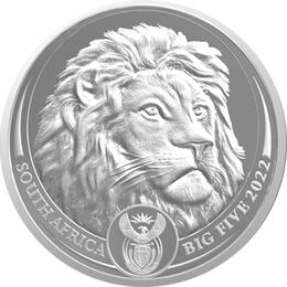 Platin Big Five Löwe 2022