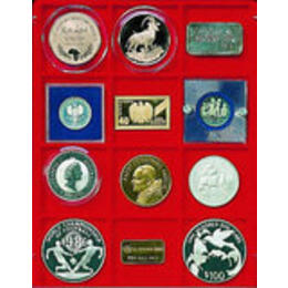 Lindner Münzbox und Münztableau (eckig) 66 mm