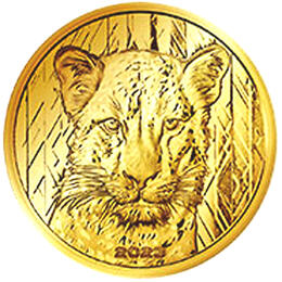 African Ghana Leopard 1 Unze 2023