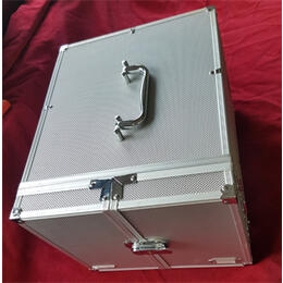 Aluminium Münzkoffer (gebraucht)