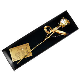 Goldene Rose