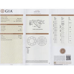 Diamant und Brillant 1,02 Carat mit Zertifikat GIA-6452471801