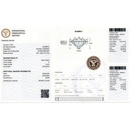 IGI451089012