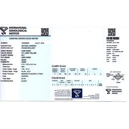 IGI425090040