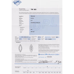 Diamant und Brillant 0,25 Carat mit Zertifikat DPL TW-883