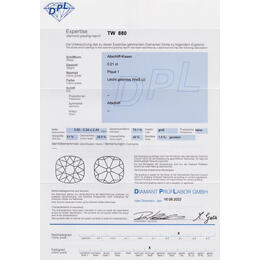 Diamant und Brillant 0,21 Carat mit Zertifikat DPL-TW880