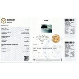 IGI478100987