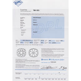 Diamant und Brillant 0,21 Carat mit Zertifikat DPL-TW-873