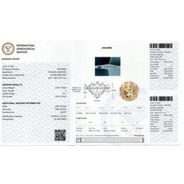 IGI478135902