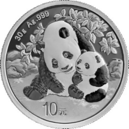 China Panda 2024