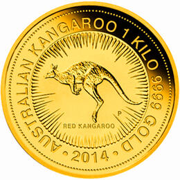 Känguru 1 Kilo 2014