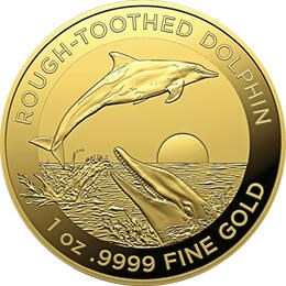 Australien Rough Toothed Dolphin 1 Unze Gold 2023