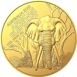 Australien Zoo Elefant 1 Unze 2022