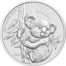 Koala 1 Kilo 2024