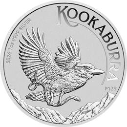 Kookaburra 10 Unzen 2024