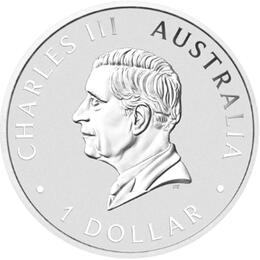 Australian Wombat 1 Unze Silbermünze 2024