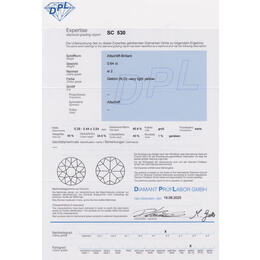 Diamant und Brillant 0,64 Carat mit Zertifikat DPL-SC530
