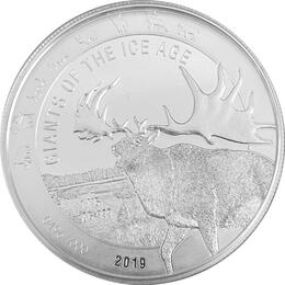 1 Kilo Riesenhisch 2019