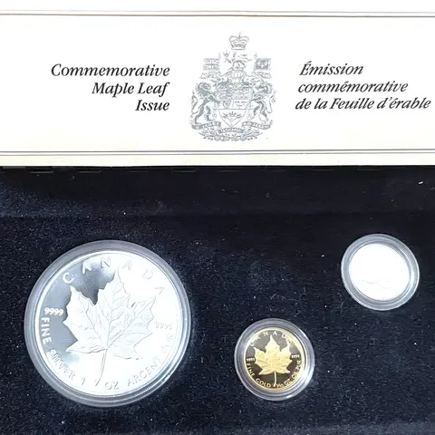 Kanada Maple Leaf Proof Set 1989 im Etui 