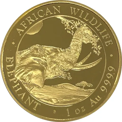 Somalia Elefant Goldmünze 2023