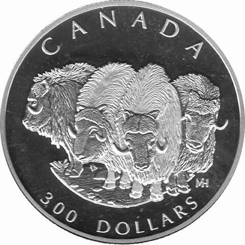 Platin Kanada 1999 Bison proof