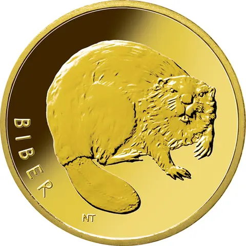 20 Euro Goldmünze Biber 2024 Rückkehr der Wildtiere