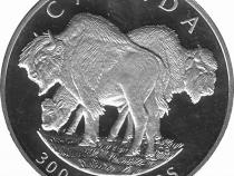 Platin Kanada 1997 Büffel proof