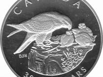 Platin Kanada 1996 Vögel proof