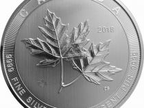 Magnificent Silber Maple Leaf Silber 2020