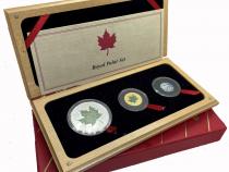 Kanada Silber Gold Platin Polar Serie 2000