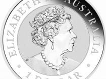 Australian Brumby 1 Unze Silbermünze 2020