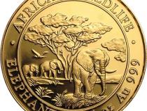 Somalia Elefant Goldmünze 2012