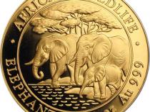 Somalia Elefant Goldmünze 2013