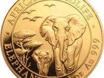 Somalia Elefant Goldmünze 2015