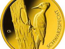 20 Euro Goldmünze Schwarzspecht 2021 Heimische Vögel