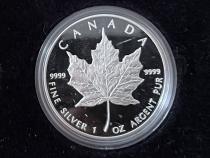 Kanada Maple Leaf Proof Set 1989 im Etui Gold Silber Platin
