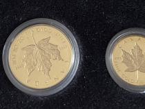 Kanada Gold Maple Leaf Proof Set 1988 im Etui