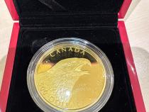Kanada Golden Eagle Adler Birds of Prey 5 Unzen Goldmünze 2019 Proof
