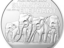 Australian Zoo 1 Unze Silbermünze Elefanten 2022