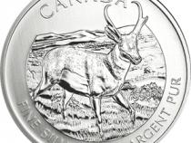 Antilope 2013 1 Unze Silber Kanada Wildlife Serie