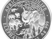 Somalia Elefant 1 Unze 2008