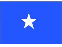 Somalia Affe 1 Unze 2004
