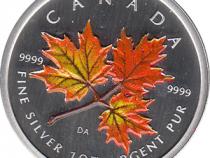 Maple Leaf Farbe 2001