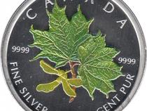 Maple Leaf Farbe 2002