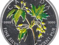 Maple Leaf Farbe 2003