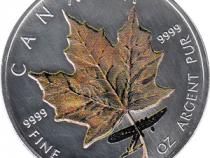 Maple Leaf Farbe 2005