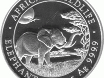 Somalia Elefant 2019